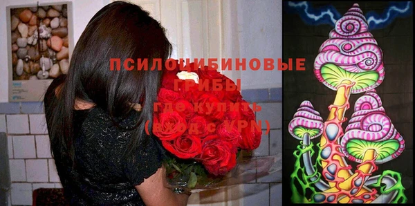 героин Алексин
