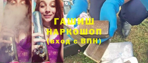 индика Володарск