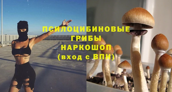 apvp Вяземский
