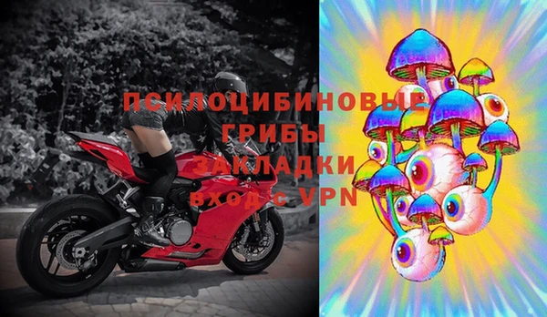 ГАЛЛЮЦИНОГЕННЫЕ ГРИБЫ Волосово