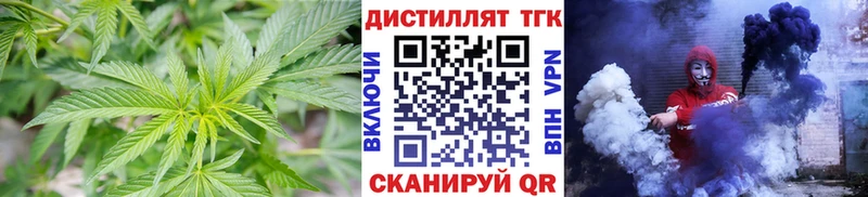 ТГК Wax  Тамбов 