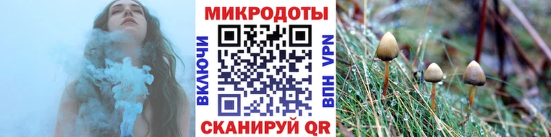 Псилоцибиновые грибы мицелий  OMG tor  Тамбов  магазин продажи  